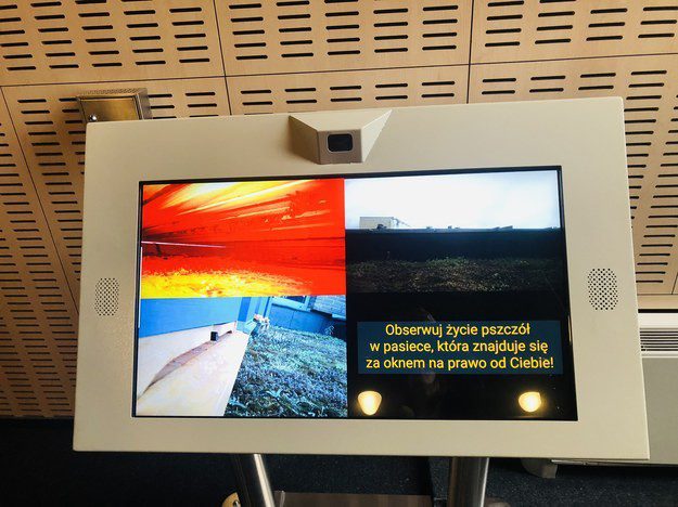 Pszczela rodzina online w Centrum Nauki i Techniki EC1 ponline